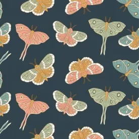 Moonbeam Dreams Night Lunar Moth
